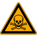 9225-12110-010 - Warnschild "Warnung vor t&ouml;dlicher Gefahr"